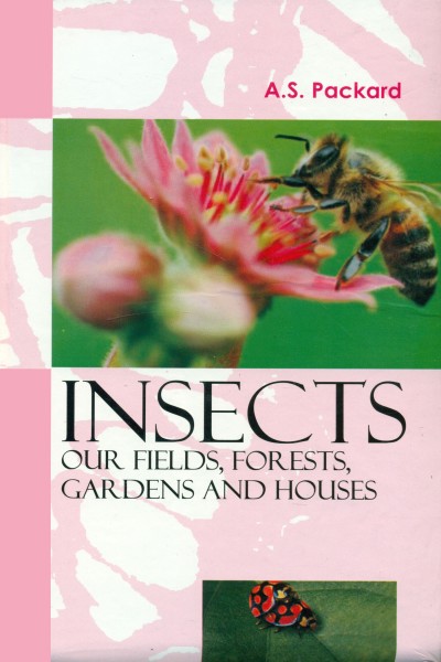 Insects : Our Fields, Forests, Gardens & Houses