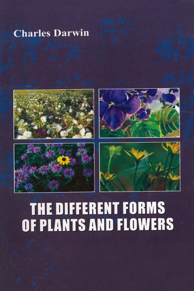 Different Forms of Plants & Flowers