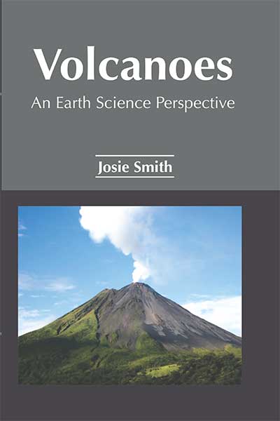 Volcanoes An Earth Science Perspective