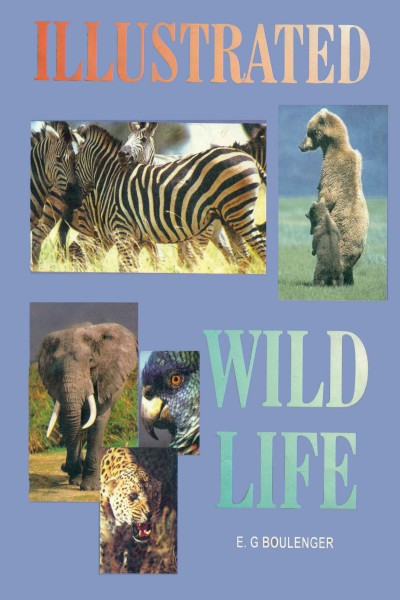 Illustrated Wild Life